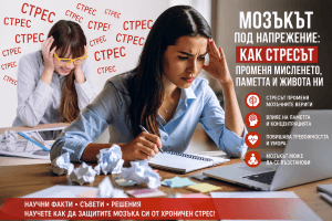 Мозъкът под напрежение: как хроничният стрес променя човека и защо учените вече говорят за „тиха невронна епидемия“